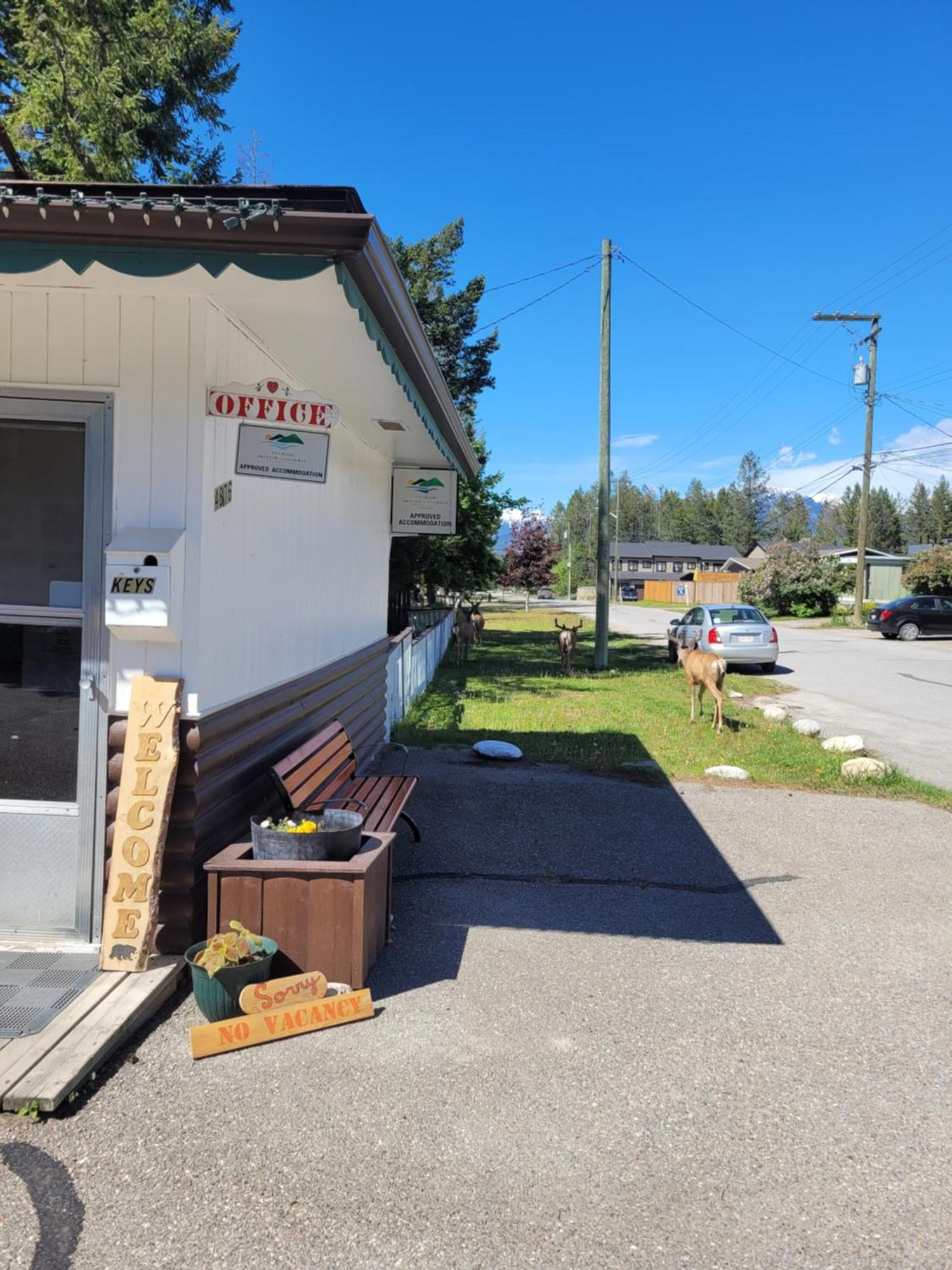 Lido Motel レイディアム・ホット・スプリングス エクステリア 写真